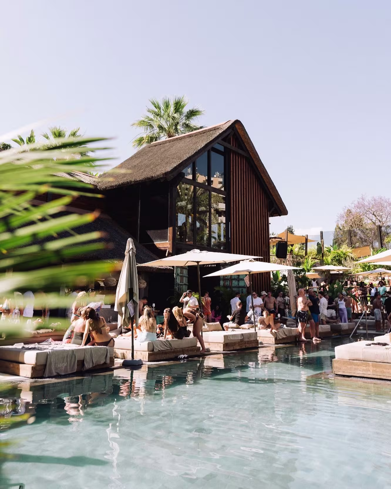 " Piscina en Mogli The Key con camas balinesas, sombrillas y gente disfrutando al sol. Ambiente relajado y tropical al aire libre."