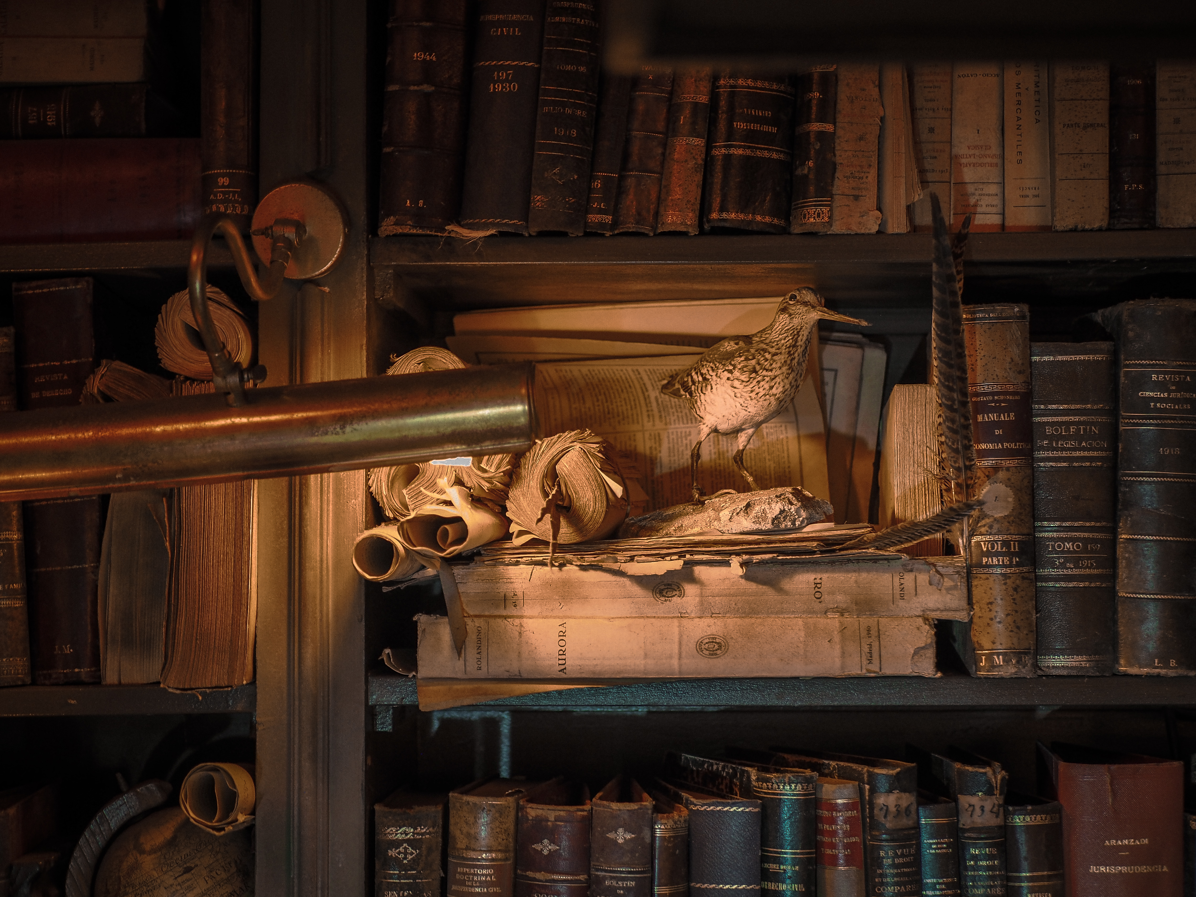 La imagen muestra una colección de libros antiguos encuadernados en cuero en un estante de madera. Entre los libros, hay tres figuritas de pájaros que parecen estar hechas de cerámica.
