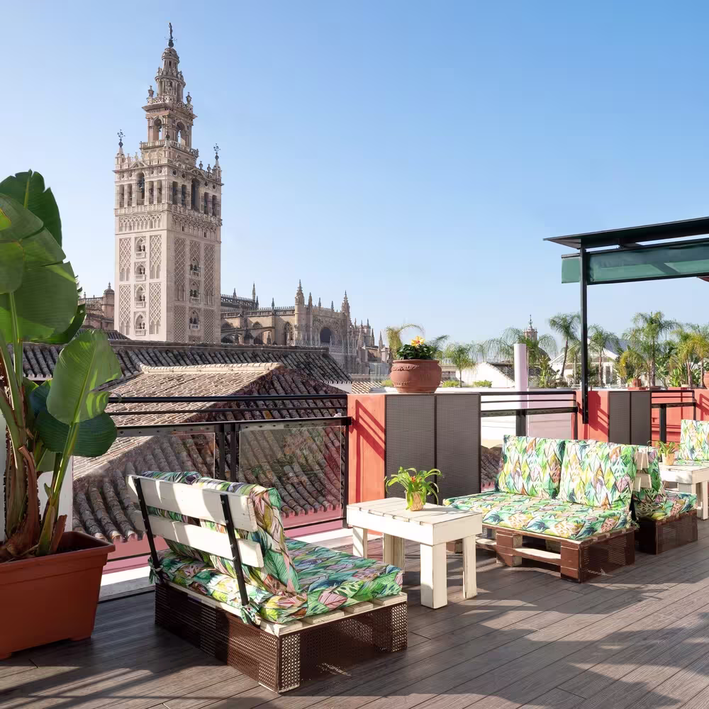 La imagen muestra una terraza exterior del Pura Vida en Sevilla, incluyendo bancos y sillas con cojines de colores y patrones florales. Hay plantas en macetas dispersas por todo el espacio.