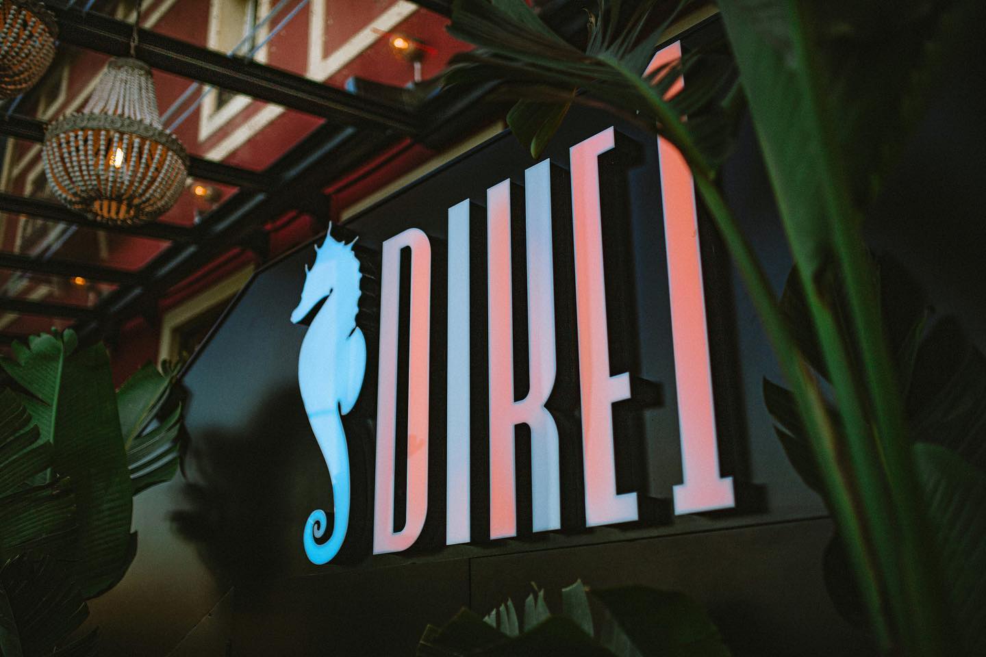 Dike 1 destaca con su logotipo iluminado de caballito de mar, rodeado de detalles tropicales y un diseño elegante y moderno.