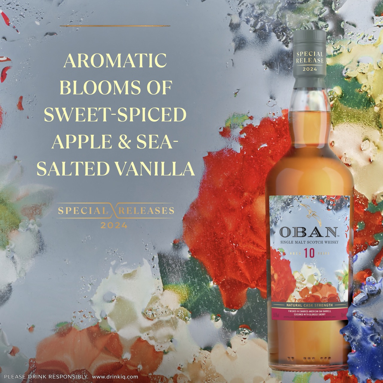 Oban 2024 Special Release 10 Years Coastal Orchard | The Bar US