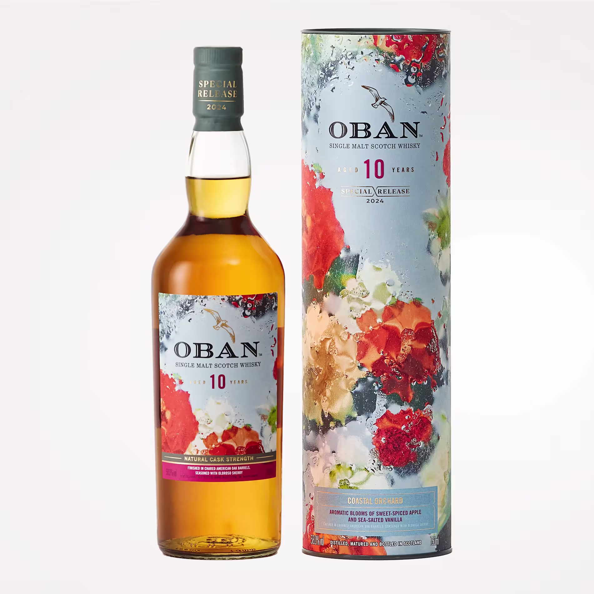 Oban 10 Year Old Special Release 2024 