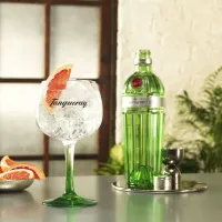 La imagen muestra una botella de gin Tanqueray N°TEN junto a una copa y otros elementos de coctelería.