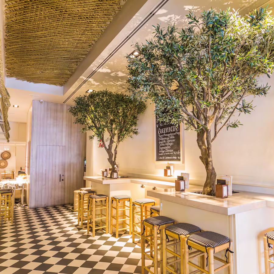 Interior luminoso de Bienmesabe Arrando, con olivos decorativos y ambiente acogedor para disfrutar de la cocina tradicional andaluza.