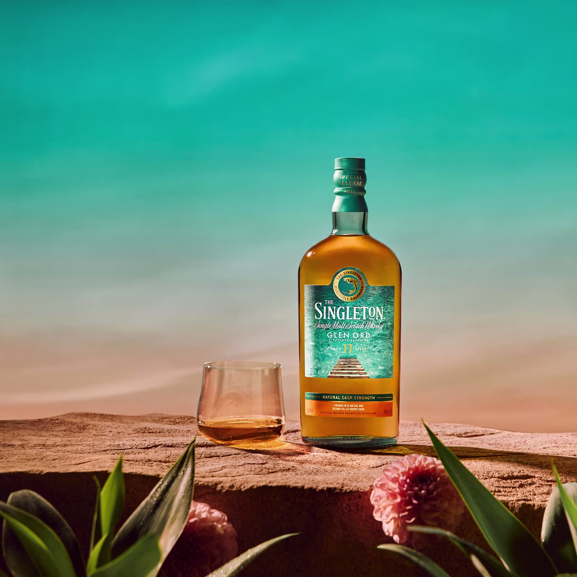 The Singleton Special Release 2025 