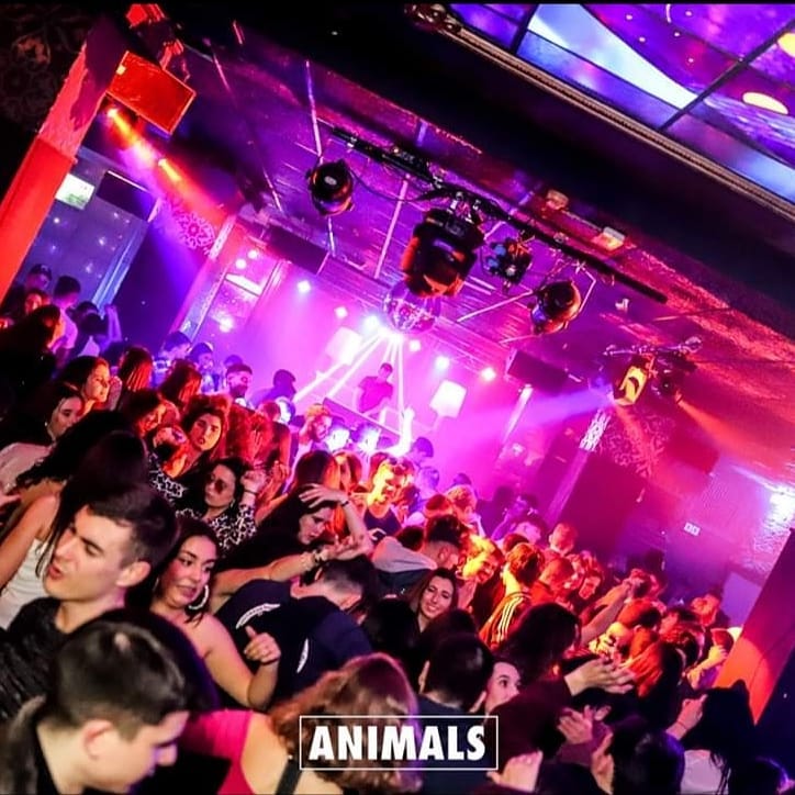 Sala llena en Rock Star con luces moradas y rojas, bola de discoteca, DJ al fondo y un público bailando en un ambiente vibrante.