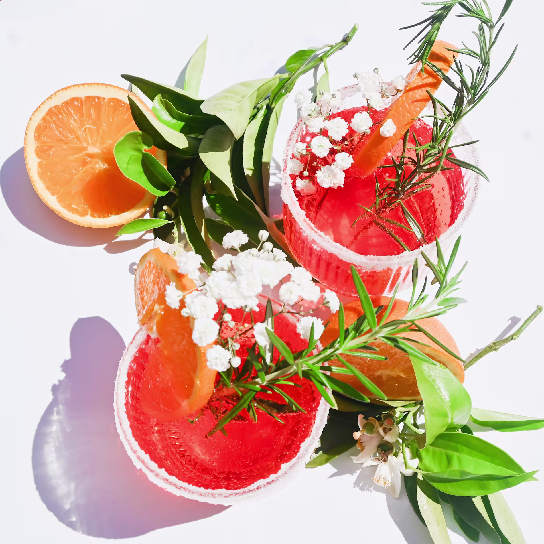 Two red cocktails with salted rims, garnished with orange slices, rosemary, white flowers, and surrounded by orange halves and green leaves on a white background.