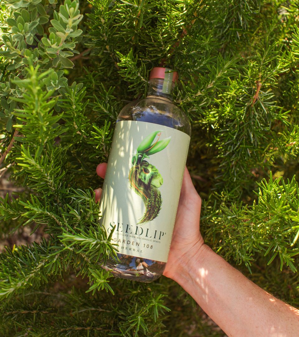 Seedlip garden Photoshoot 