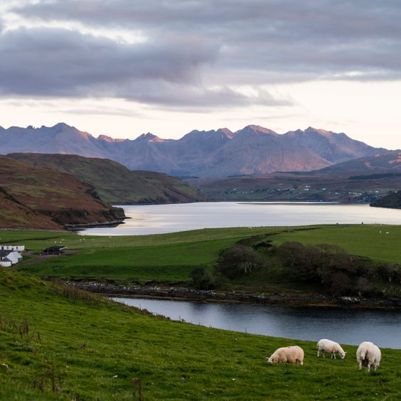 Talisker Stunning Skye