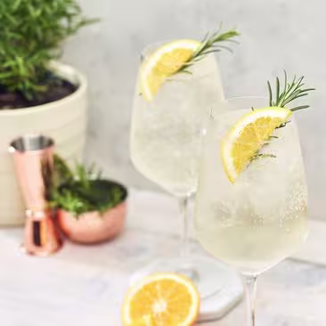 Tanqueray Alcohol Free 0.0%  