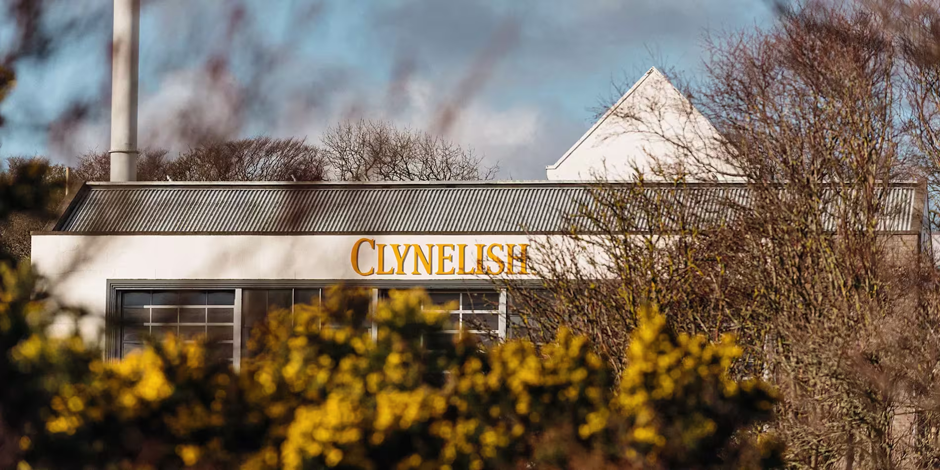A white building with Clynelish written in yellow letters, partially obscured by trees and yellow-flowered bushes under a cloudy sky.