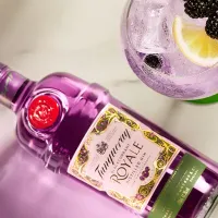 gin diszites
