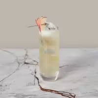 La imagen muestra un vaso relleno con el cóctel Apple Highball.