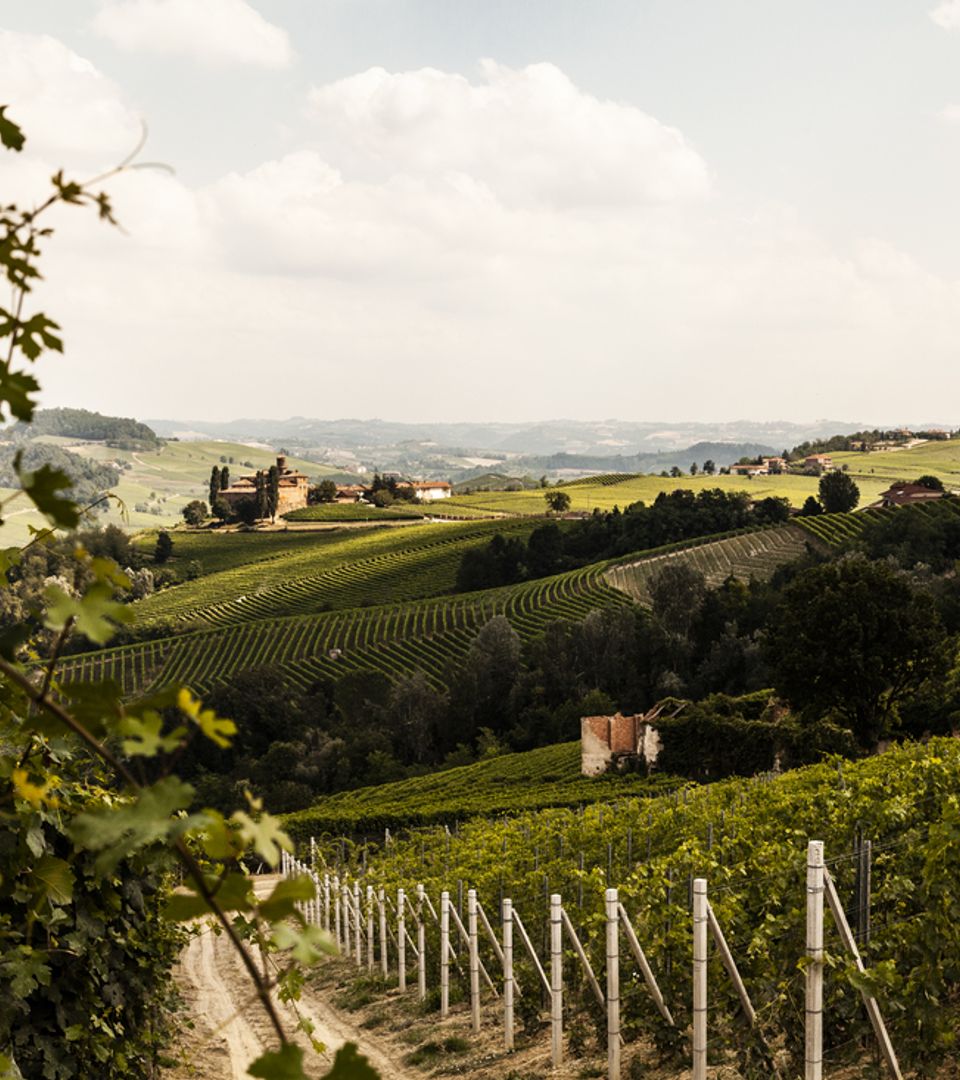 Villa Acenti scene image