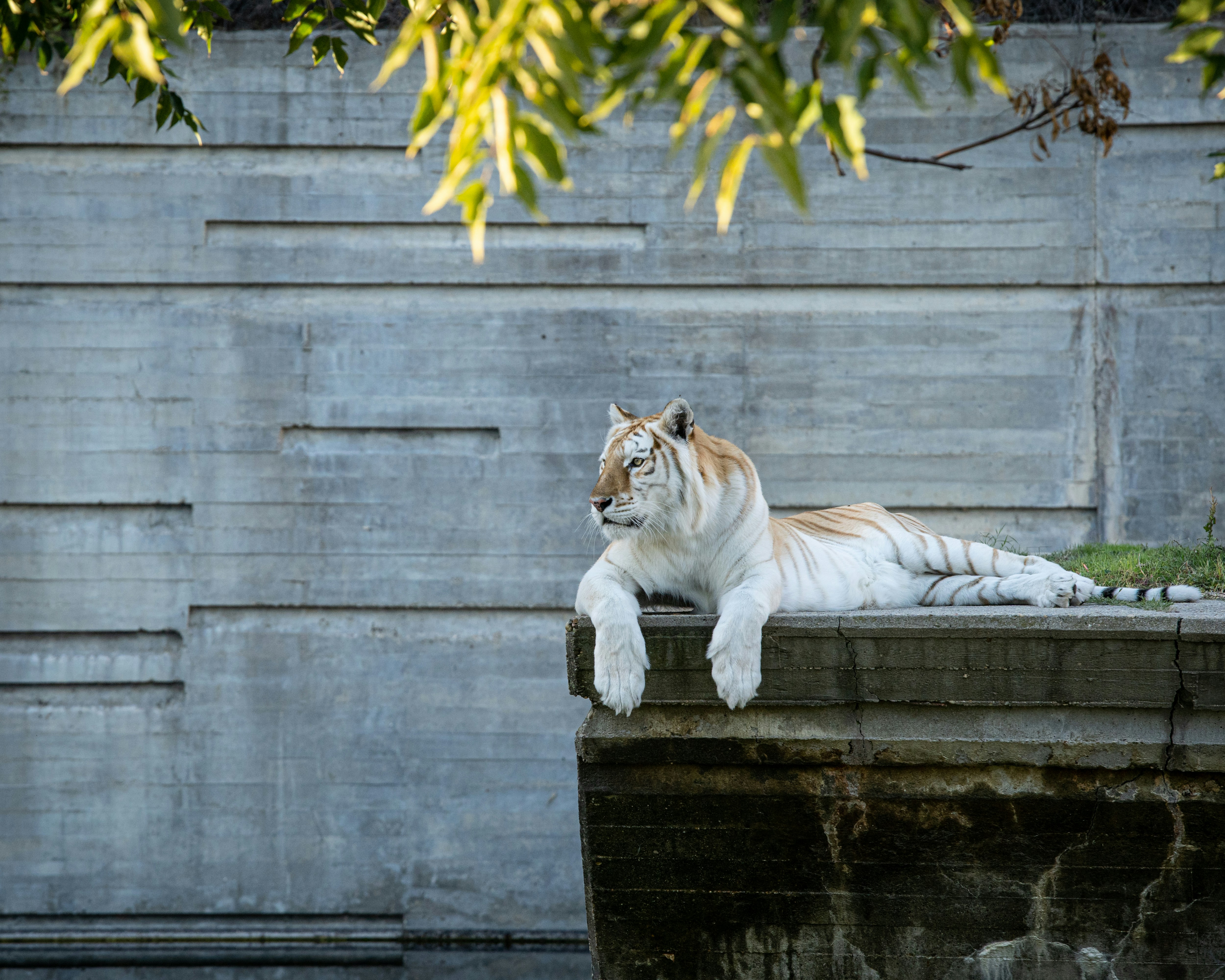 🌍 Top 10 Zoos in the World