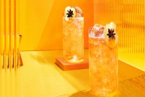 Un clásico de Johnnie Walker, conoce y prepara un Johnnie Ginger?w=276&h=276&fit=thumb