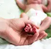 Hände halten die Füßchen eines frühgeborenen Babys