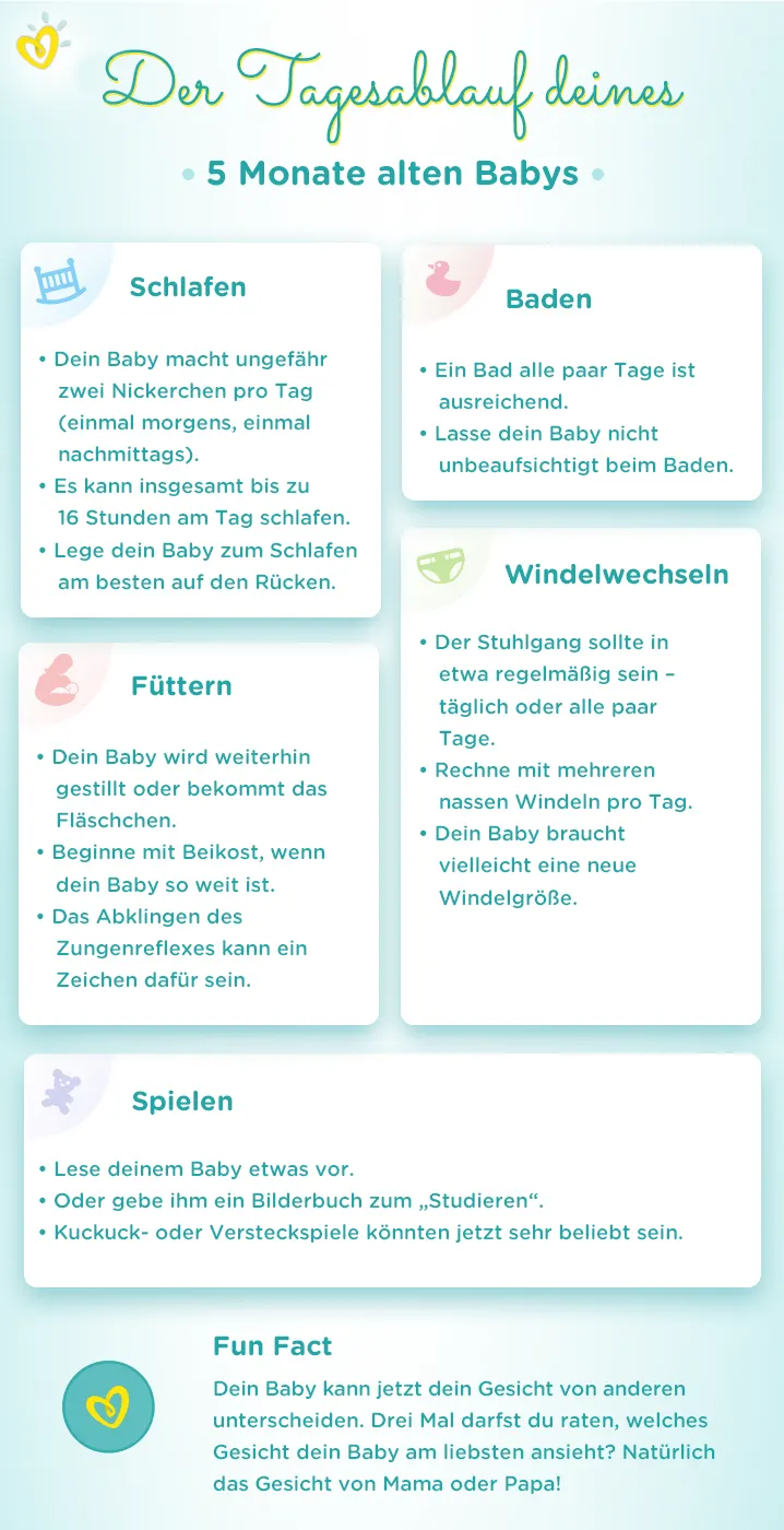 Tagesablauf 5.Monat Tagesablauf 5.Monat