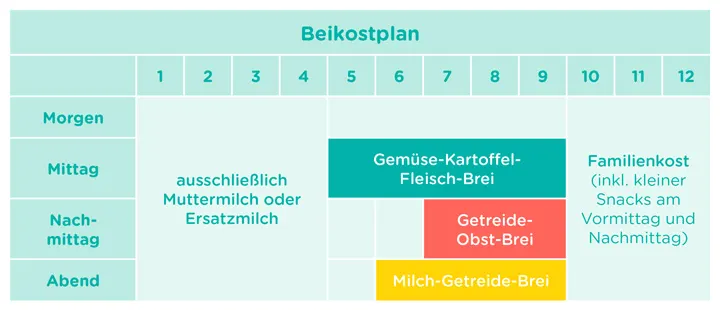 Beikost: So gewöhnen Sie Ihr Baby an feste Nahrung