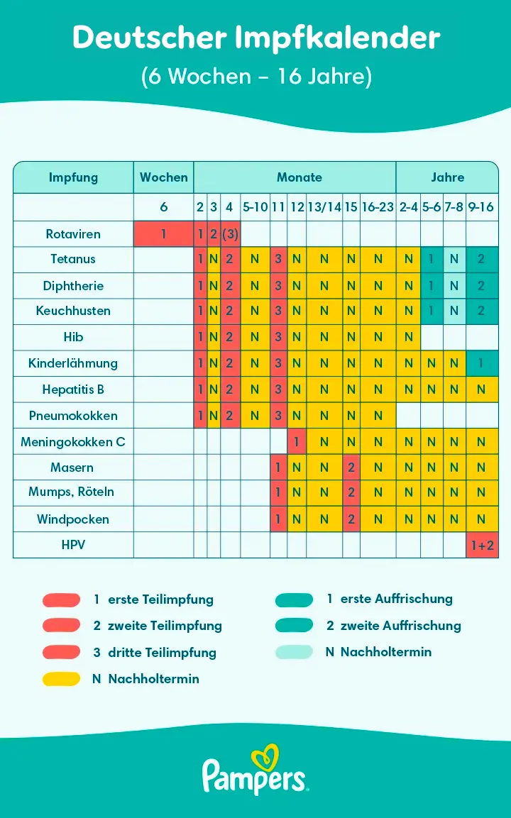 Deutscher Impfkalender (6 Wochen – 16 Jahre)