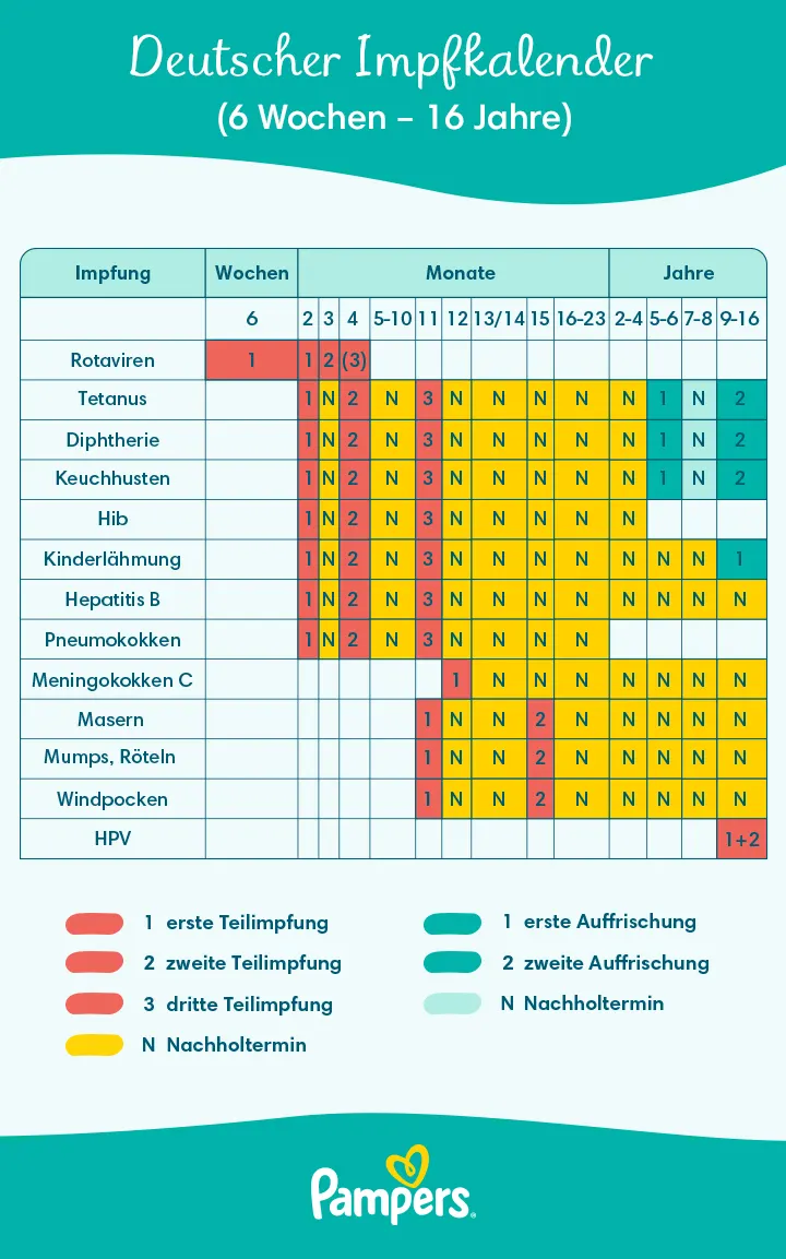 Deutscher Impfkalender (6 Wochen – 16 Jahre)