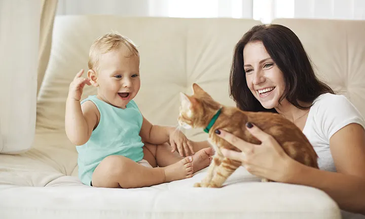 Mutter und Kind mit Katze auf dem Sofa
