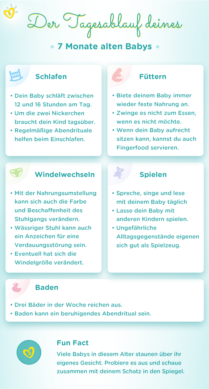 Ab Wann Ist Man Im 7 Monat