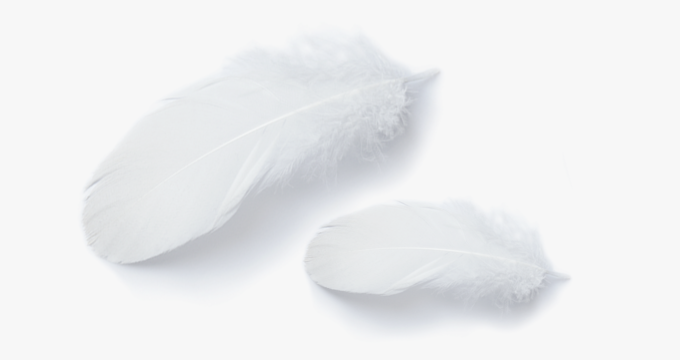 Pampers® Pure Protection™