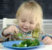 Kinder dazu bringen Gemüse zu essen