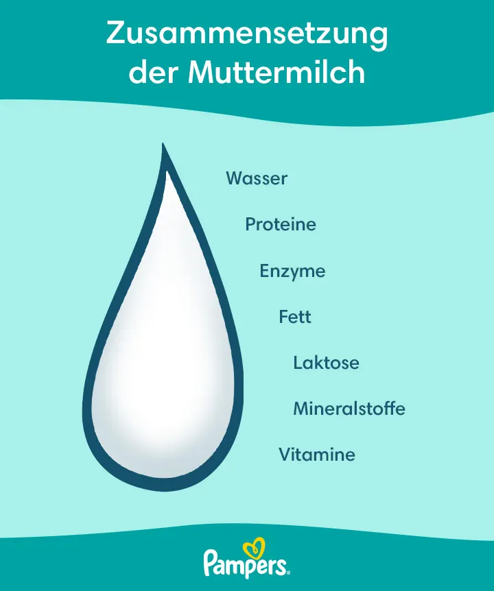 Stillen - Die optimale Babynahrung | Pampers