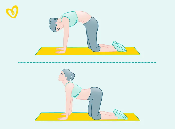 Schwangerschaftsgymnastik: Stärkung und Entspannung der Rückenmuskulatur