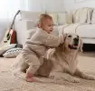 Hunde und Babys