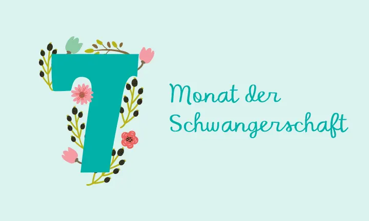 7. Monat der Schwangerschaft