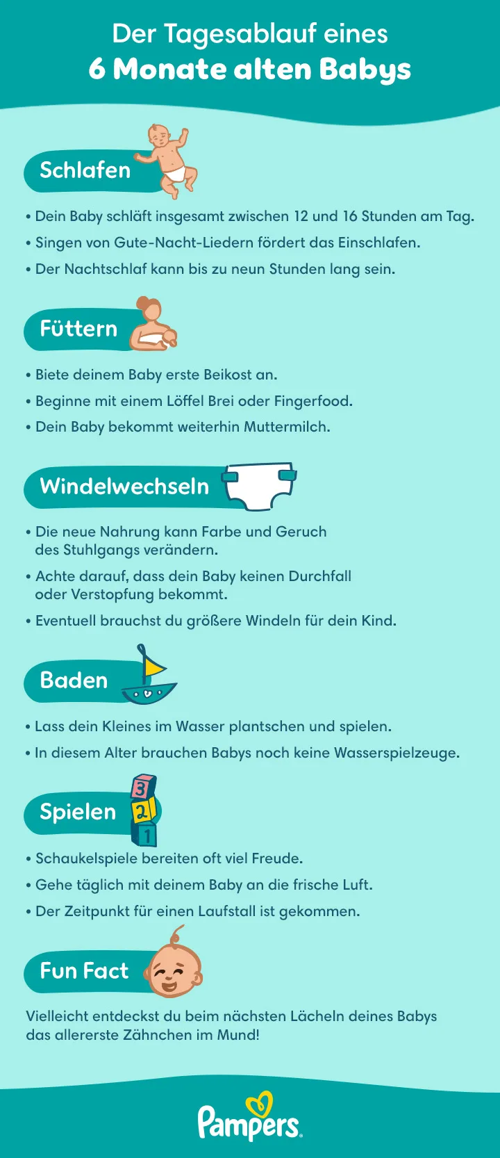 Baby 6 Monate: Entwicklung, Schlafen & Gewicht | Pampers