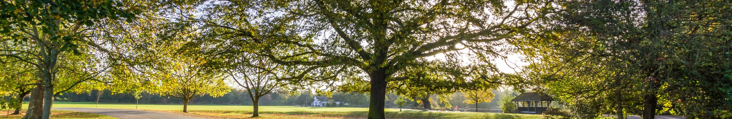 Image of Dulwich, London