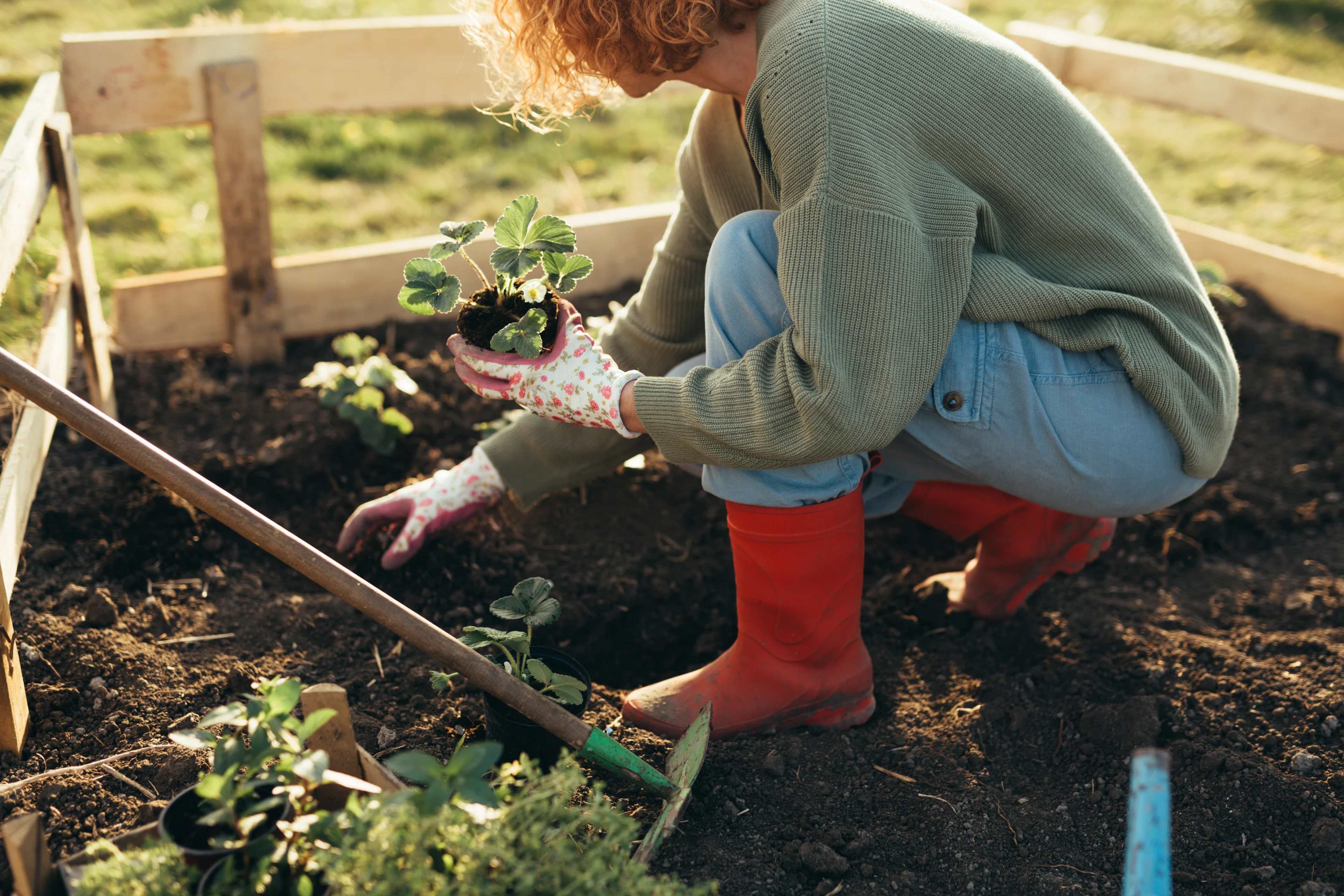 a woman planting plants in a fenced garden