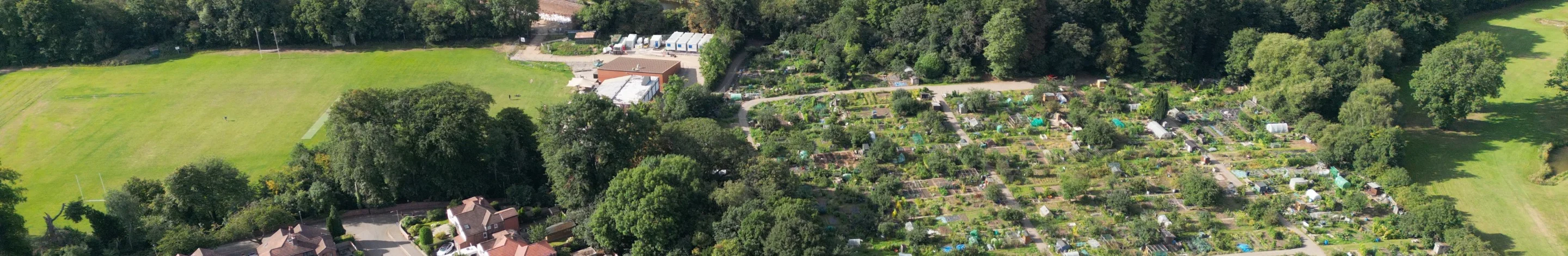 A picture of Heald-Green