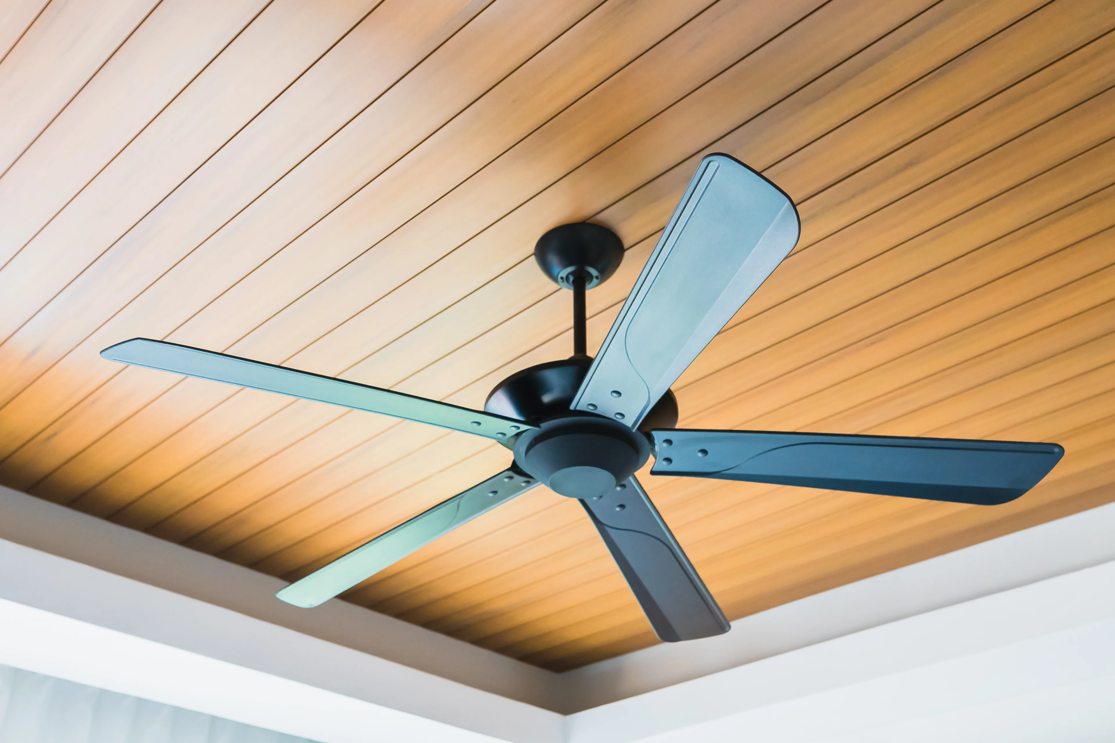 a picture of ceiling fan. 