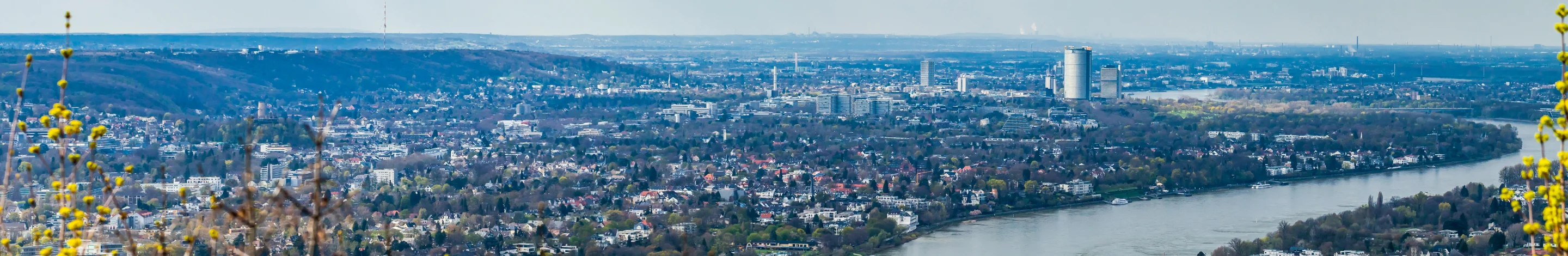 Bild von Nippes