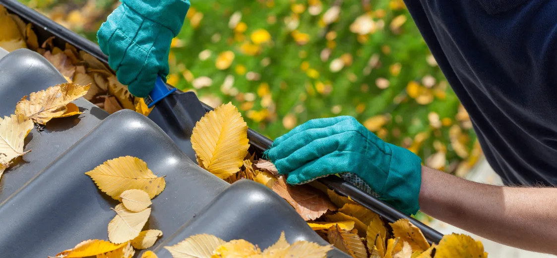 A picture of someone cleaning rain gutters