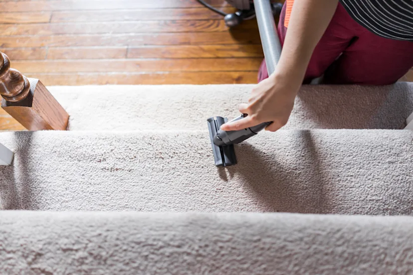 Carpet Cleaners for Hire in Exeter Taskrabbit