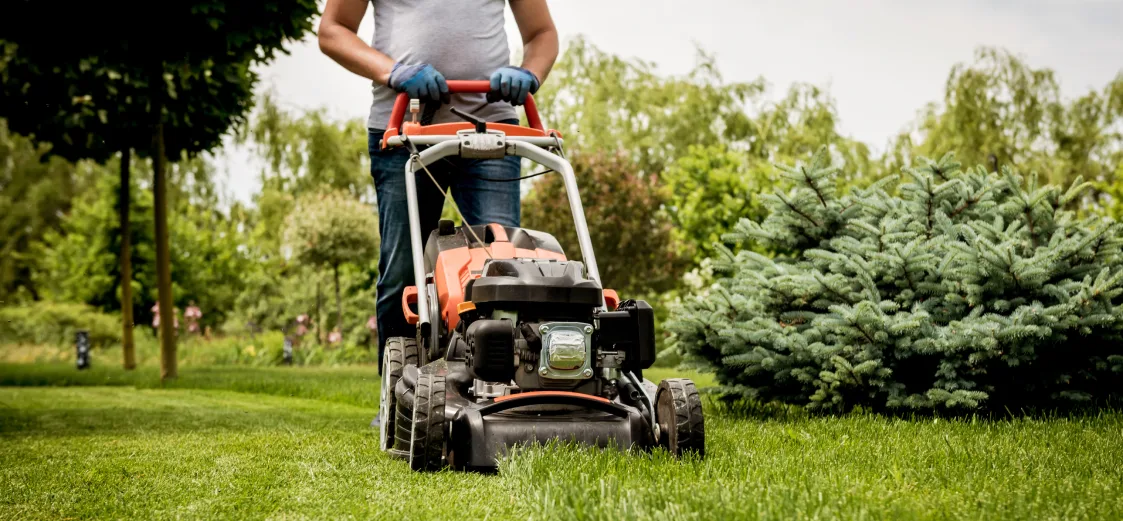 A picture of a person mowing a lawn with a push mower.