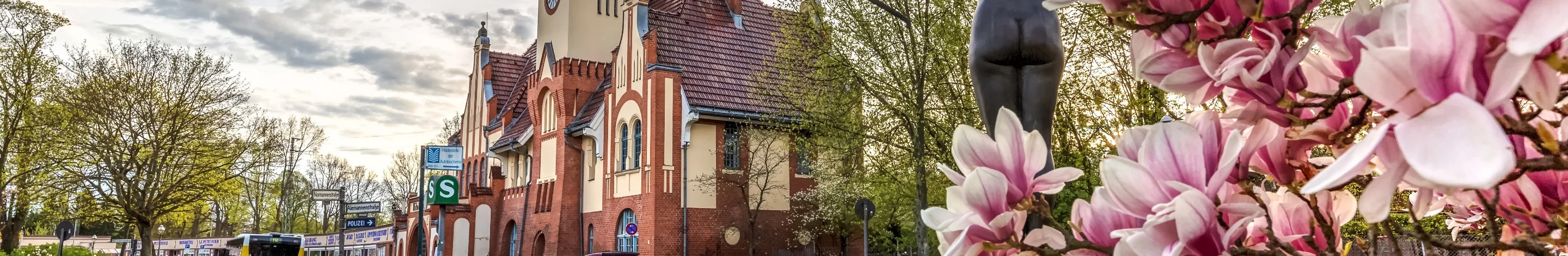 Bild von Steglitz