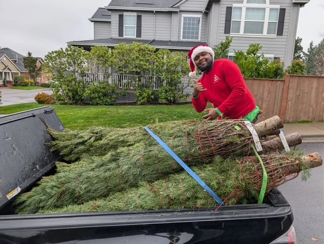 Una persona consegna degli alberi di Natale.