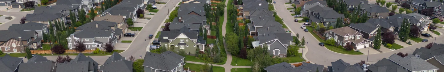 A picture of Aspen Woods