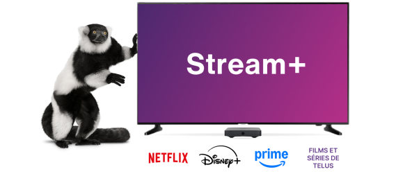 Image décorative. Profitez des modules complémentaires comme Stream+ et économisez gros sur les services de streaming premium.