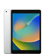 iPad (9th generation)