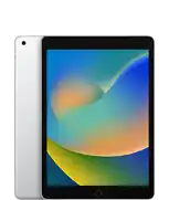 iPad (9th generation)