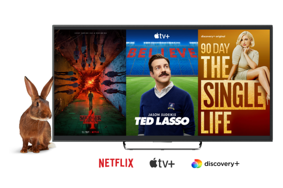 A rabbit with a TV showing popular shows on Stream+ and logos of Netflix, Apple TV+ and discovery+.