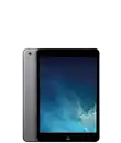iPad mini 2